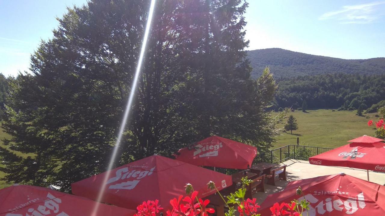 Great Mountain B&B Platak Exterior photo