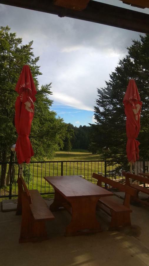 Great Mountain B&B Platak Exterior photo